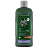 shampoing bio antipelliculaire 250 ml logona